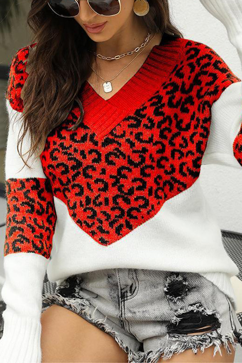 V-Neck Leopard Sweater