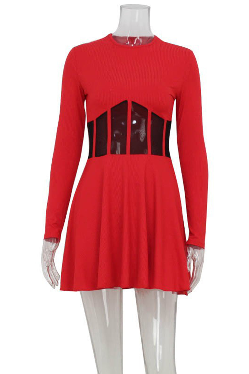Mesh Panel Flared Night Out Dress