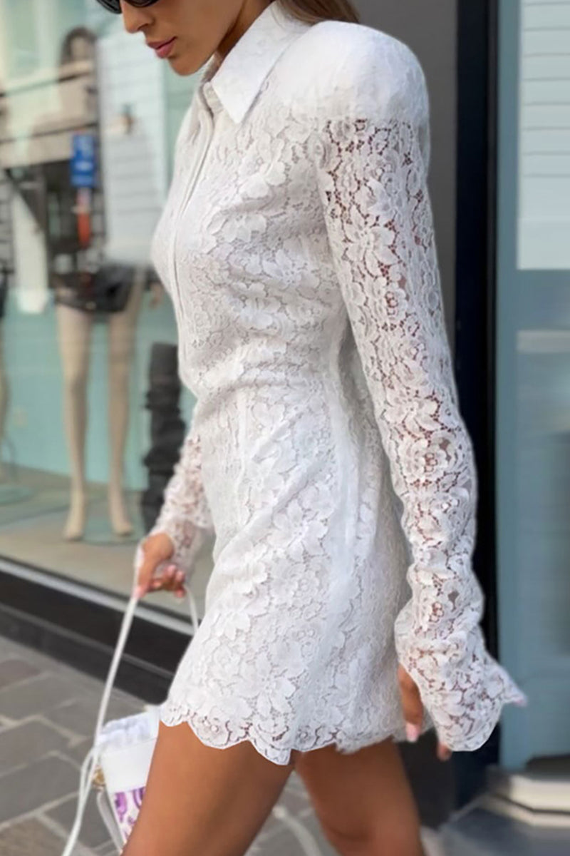 Lace Long-Sleeve Casual Dress